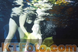 Photo 4316657