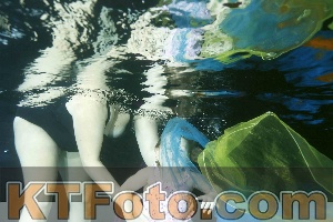 Photo 4316664