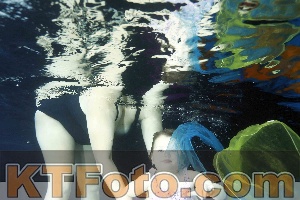 Photo 4316665