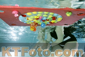 Foto 4316686
