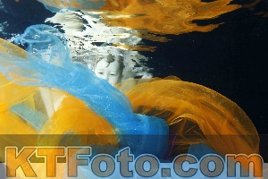 Photo 4316741