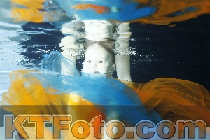 Photo 4316742