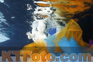 Photo 4316743