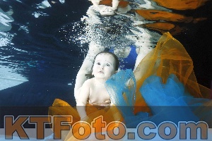 Photo 4316745