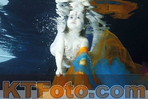 Photo 4316747