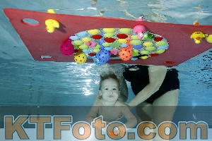 Photo 4316778