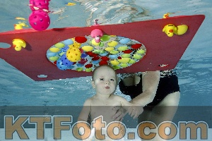 Photo 4316783