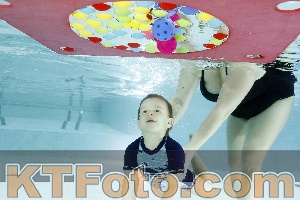 Foto 4316863