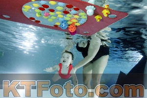 Photo 4316997