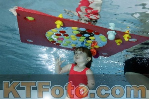 Photo 4317001