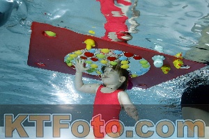 Photo 4317002