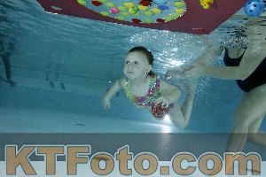 Photo 4317005