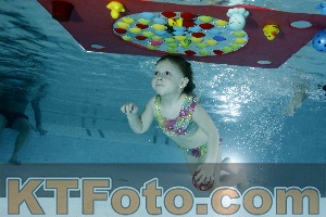 Photo 4317006