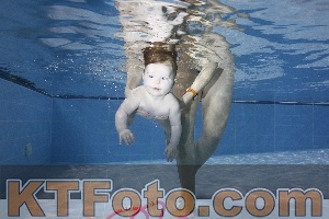 Foto 4381900