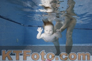 Foto 4381903