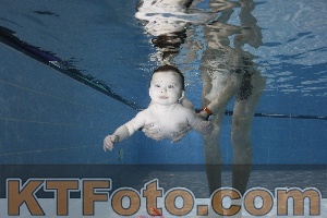 Foto 4381913