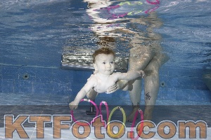 Foto 4381916