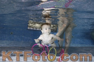 Foto 4381917