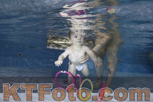 Foto 4381918