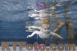 Foto 4381919