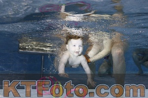 Foto 4381920