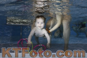 Foto 4381921