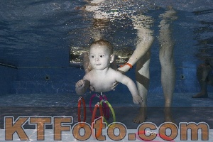 Foto 4381926