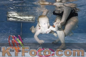 Foto 4381930