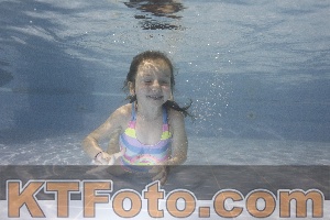 Foto 4383545