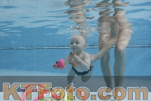 Foto 4383848