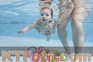 Foto 4383856