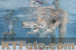 Foto 4383867