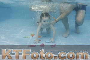 Foto 4384905