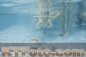 Foto 4384907