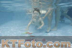 Foto 4384908