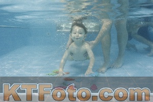 Foto 4384909