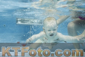 Foto 4385598