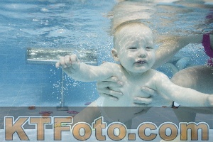 Foto 4385599