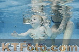 Foto 4385604