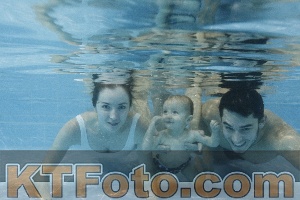 Foto 4385686