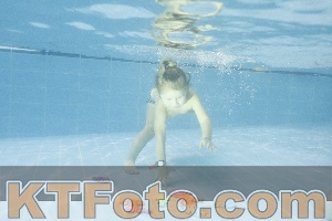 Foto 4386589