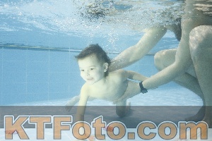 Foto 4386597