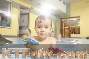 Foto 4386620