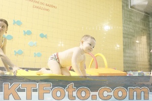 Foto 4386630