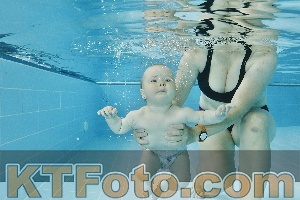 Foto 4319876