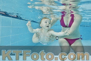 Foto 4319885