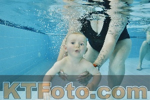 Foto 4319893
