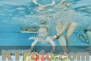Foto 4319950