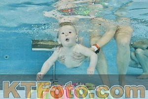 Foto 4319951