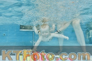 Foto 4319952